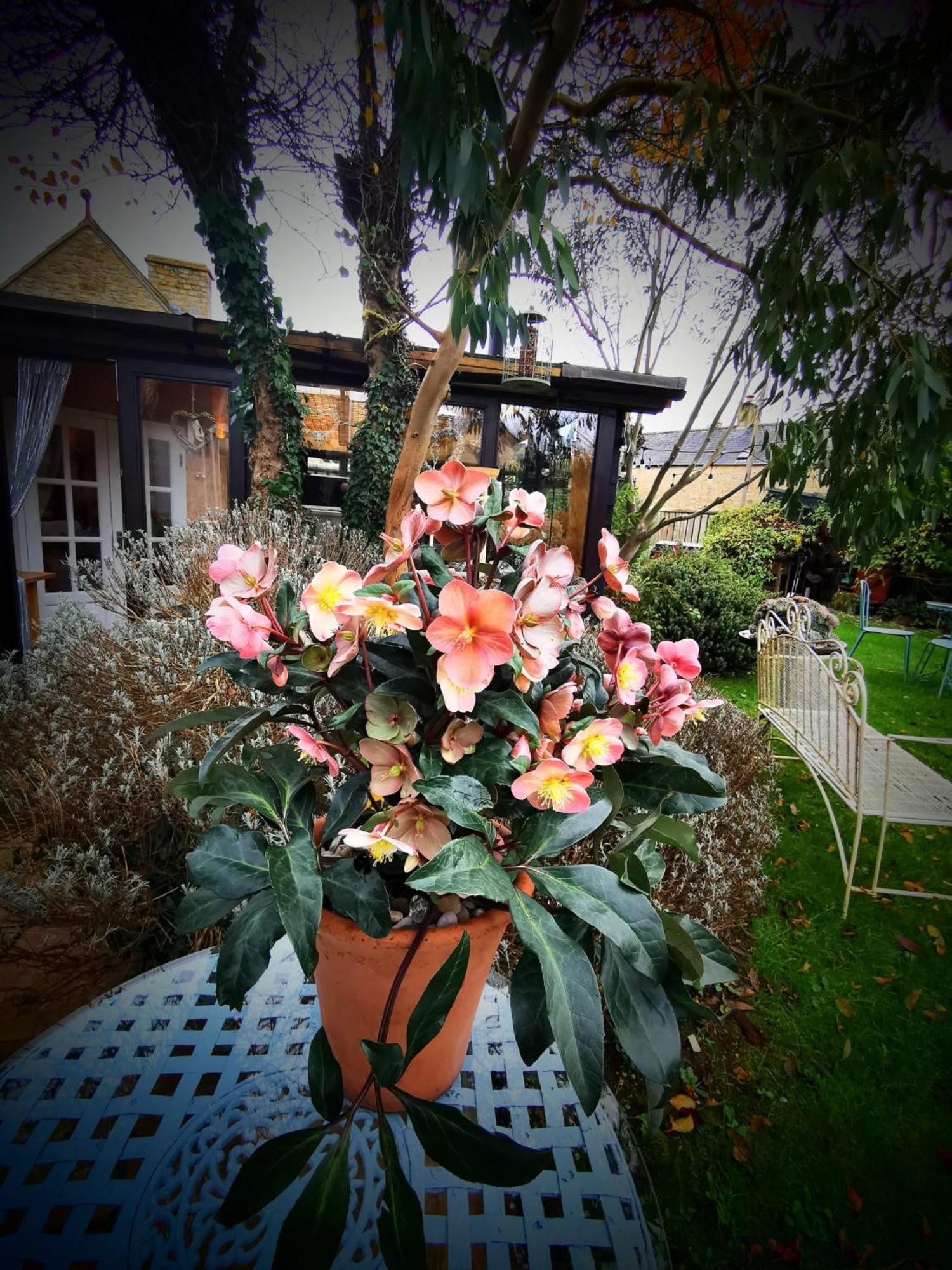 Cotswold Garden Chalet In Stow-On-The-Wold Kültér fotó